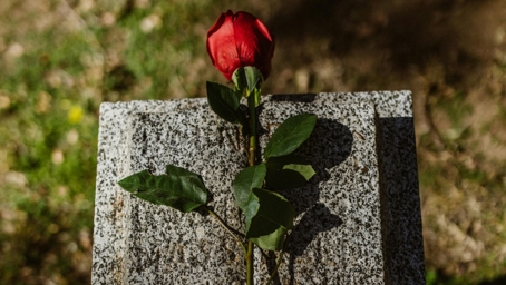 مجرم سابقهدار در قالب دکتر زیبایی؛ زن ۶۵ ساله به کام مرگ رفت! <p dir="RTL" style="text-align: justify;"><span>به گزارش اقتصادآنلاین به نقل از سایت دیده بان ایران؛ چند روز قبل مرگ زن </span><span>۶۵</span><span> سالهای به بازپرسی  اعلام شد. با گزارش این خبر تحقیقات آغاز شد و دختر متوفی در تحقیقات گفت: «مادرم ساکن انگلستان بود و برای دیدن ما به ایران آمده بود. یک روز با دیدن تبلیغات یک کلینیک زیبایی در اینستاگرام گفت میخواهد عمل ساکشن غبغب انجام دهد.»</span></p>
<div class="content-warning-box">
<p><strong><span style="color: rgb(186, 55, 42);">دختر جوان ادامه داد: «عکسهای زیادی در صفحه اینستاگرامی از عملهای دکتر وجود داشت و من به همراه مادرم برای ویزیت به کلینیک دکتر که در ولنجک بود، رفتیم. دکتر بدون هیچ آزمایش خاصی پذیرفت که مادرم را عمل کند. دو ساعتی عمل مادرم طول کشید و بعد از آن مادرم مرخص شد. اما همان شب حالش بد شد و وقتی من با دکتر تماس گرفتم مدعی بود که این روال طبیعی و از عوارض عمل است و داروهایی که به او داده شده را اگر مصرف کند، حالش بهبود مییابد. اما صبح روز بعد مادرم جان باخت. ما هم از کادر درمان و پزشکش شکایت کردیم و پرونده به دادسرای جرایم پزشکی ارجاع شد<span dir="LTR">.</span>»</span></strong></p>
</div>
<p dir="RTL" style="text-align: justify;"><span>با شکایت دختر جوان تحقیقات آغاز شد و بررسیها نشان میداد دکتری با مشخصات پزشک معالج زن میانسال اصلاً وجود ندارد و درحقیقت او یک مداخلهگر امور پزشکی و دکتر قلابی است.</span></p>
<p dir="RTL" style="text-align: justify;"><strong>زمانی که مأموران راهی مطب شدند، مشخص شد آنها مطب را تخلیه و فرار کردهاند<span dir="LTR">.</span></strong></p>
<p dir="RTL" style="text-align: justify;"><span>با گذشت چند روز از ماجرا، دختر جوان به دادسرا مراجعه کرد و اطلاعاتی را در اختیار تیم تحقیق قرار داد: «از همان روزی که برای ویزیت به مطب دکتر قلابی رفتیم او به من ابراز علاقه کرد و چندین بار هم به من پیام داد اما از آنجایی که من روی خوشی به او نشان ندادم او دیگر به من پیام نداد. ولی از روز گذشته او در فضای مجازی به من پیام و پیشنهاد دوستی داده است.»</span></p>
<p dir="RTL" style="text-align: justify;"><span>با اطلاعاتی که دختر جوان در اختیار تیم تحقیق قرار داد، مأموران آموزشهای لازم را به او داده و خواستند با جلب اعتماد دکتر قلابی با او قرار ملاقات بگذارد. با آموزشهایی که تیم تحقیق داده بود وی با متهم فراری تماس برقرار کرده و گفت: «مادرم بعد از آن شب با تجویز داروهایی که به او دادی حالش خوب شد و مشکلی ندارد.»</span></p>
<p dir="RTL" style="text-align: justify;"><span>همزمان با این تماس و اطمینان از سوی دختر جوان، دکتر قلابی که تصور نمیکرد زن میانسال فوت کرده باشد، صبح همان روز در قراری که با دختر جوان داشت، توسط مأموران پلیس بازداشت شد</span><span dir="LTR">.</span></p>
<p dir="RTL" style="text-align: justify;"><span>بازپرس شعبه دوم دادسرای جرایم پزشکی وی را به اتهام مداخله در امر پزشکی، تأسیس مؤسسه پزشکی غیر مجاز و استفاده از عناوین علمی خلاف واقع(دکتر) و همچنین فوت زن میانسال بازداشت کرد و متهم در اختیار کارآگاهان پلیس قرار گرفت. این مرد حدود </span><span>۳۰</span><span> سال سن دارد و این سومین باری است که دستگیر میشود. وی درباره انگیزهاش از راهاندازی مرکز پزشکی گفت: «کلینیکم مجوز ندارد اما چون من عاشق جراحی و پزشکی بودم و یک زمانی هم برای یک دکتر کار میکردم، به صورت تجربی مواردی را یاد گرفته بودم. چون این کار درآمد بالایی داشت وسوسه شدم برای خودم کار کنم.»</span></p>
<p dir="RTL" style="text-align: justify;"><strong><span dir="LTR"> </span>عملها را خودت انجام میدادی؟</strong></p>
<p dir="RTL" style="text-align: justify;"><span>نه. عملها را من انجام نمیدهم، همان دکتری که مهرش پای برگه ویزیت میخورد، عملها را انجام میداد</span><span dir="LTR">.</span></p>
<p dir="RTL" style="text-align: justify;"><strong>اما دختر متوفی مدعی است که خودش دیده که تو وارد اتاق عمل شدی؟</strong></p>
<p dir="RTL" style="text-align: justify;"><span>متهم جوان سکوت میکند</span><span dir="LTR">.</span></p>
<p dir="RTL" style="text-align: justify;"><strong>با این کارت با جان مردم بازی کردی؟</strong></p>
<p dir="RTL" style="text-align: justify;"><span>همین یک مورد فوت شده آن هم شاید به خاطر جراحی نبوده اما خیلی پشیمانم</span><span dir="LTR">.</span></p>
<p dir="RTL" style="text-align: justify;"><strong>چه مدت است نقش دکتر را بازی میکنی؟</strong></p>
<p dir="RTL" style="text-align: justify;"><span>دو سالی میشود. عملهای زیبایی؛ لیپوساکشن غبغب، لیفت شقیقه؛ تزریق فیلر و بوتاکس انجام میدهم</span><span dir="LTR">.</span></p>
<p dir="RTL" style="text-align: justify;"><strong>مدرک تحصیلیات؟</strong></p>
<p dir="RTL" style="text-align: justify;"><span>دیپلم تجربی دارم</span><span dir="LTR">.</span></p>
<p dir="RTL" style="text-align: justify;"><strong>سابقه داری؟</strong></p>
<p dir="RTL" style="text-align: justify;"><span>تا به حال دوبار بازداشت شدهام، یک بار به اتهام دایر کردن مرکز فحشا و یکبار هم سابقه حمل سلاح دارم</span><span dir="LTR">.</span></p>
<div class="content-warning-box">
<p dir="RTL"><strong><span style="color: rgb(186, 55, 42);">چطور تبلیغات میکردی؟</span></strong></p>
<p dir="RTL"><strong><span style="color: rgb(186, 55, 42);">از طریق صفحاتی که در اینستاگرام دارم. باورتان نمیشود مردم به همین چند عکسی که من در فضای مجازی گذاشتهام اعتماد کرده و خودشان را زیر تیغ عمل جراحیام قرار میدادند<span dir="LTR">.</span></span></strong></p>
</div>
<div class="content-tip-box">
<div class="header"><i class="bi bi-star-fill fs-4"></i> نکته</div>
<p><strong><span>این خبر در خبرگزاری اقتصاد آنلاین به نقل از سایت دیده بان ایران و در تاریخ بیستم خرداد ماه 1404 منتشر شده است. زیستلاین بدون هیچگونه دخل و تصرف اقدام به بازنشر این خبر میکند.</span></strong></p>
</div>
<p dir="RTL" style="text-align: justify;"><span> </span></p>